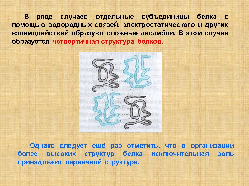 В ряде случаев отдельные субъединицы белка с помощью водородных связей, электростатического и других взаимодействий